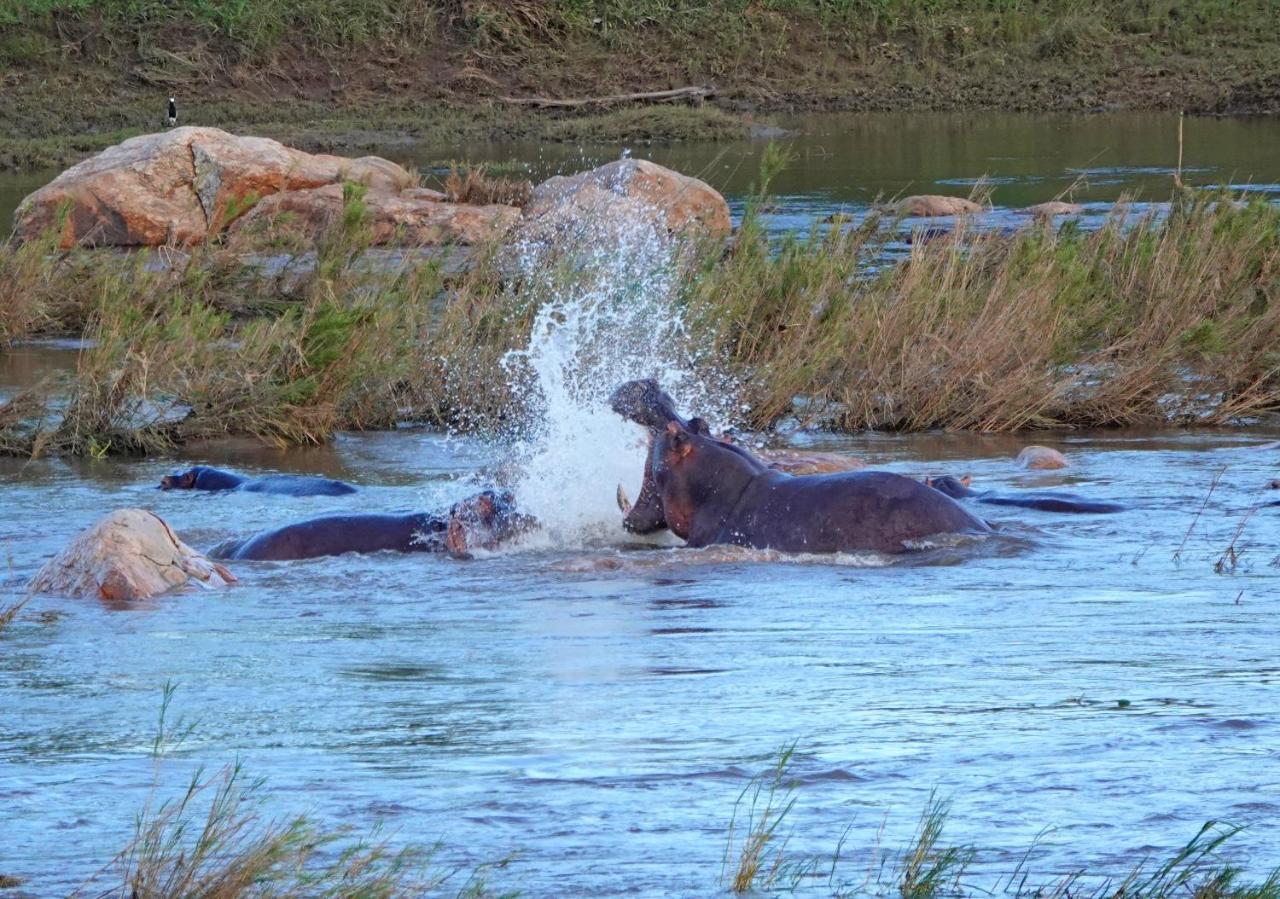 Kruger River Holiday Home Marloth Park Esterno foto