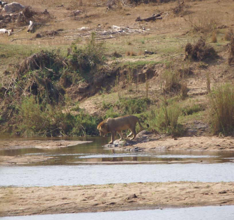 Kruger River Holiday Home Marloth Park Esterno foto