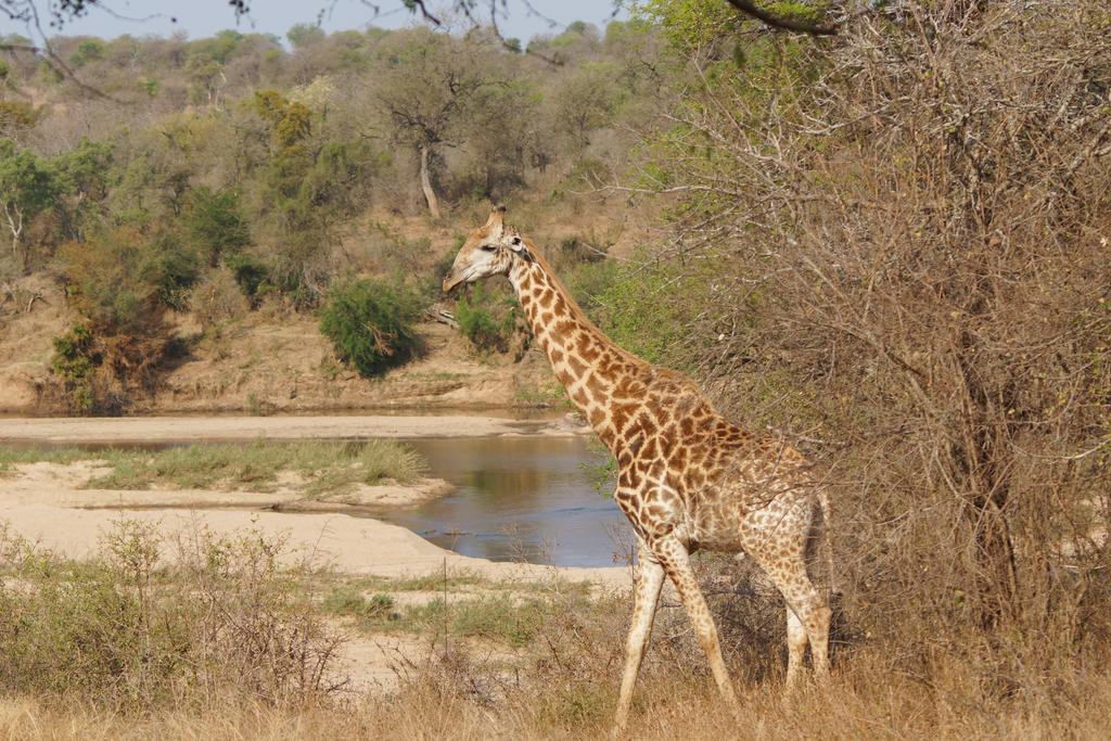 Kruger River Holiday Home Marloth Park Esterno foto