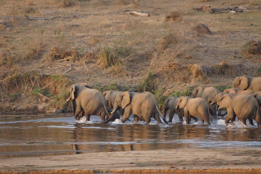 Kruger River Holiday Home Marloth Park Esterno foto