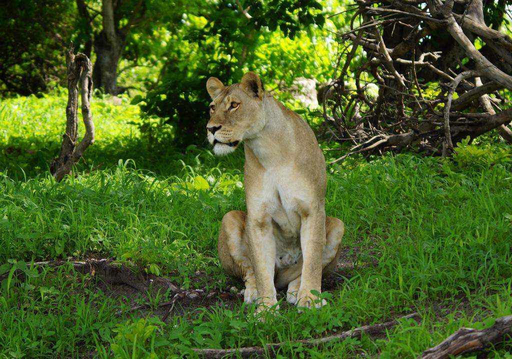 Kruger River Holiday Home Marloth Park Esterno foto