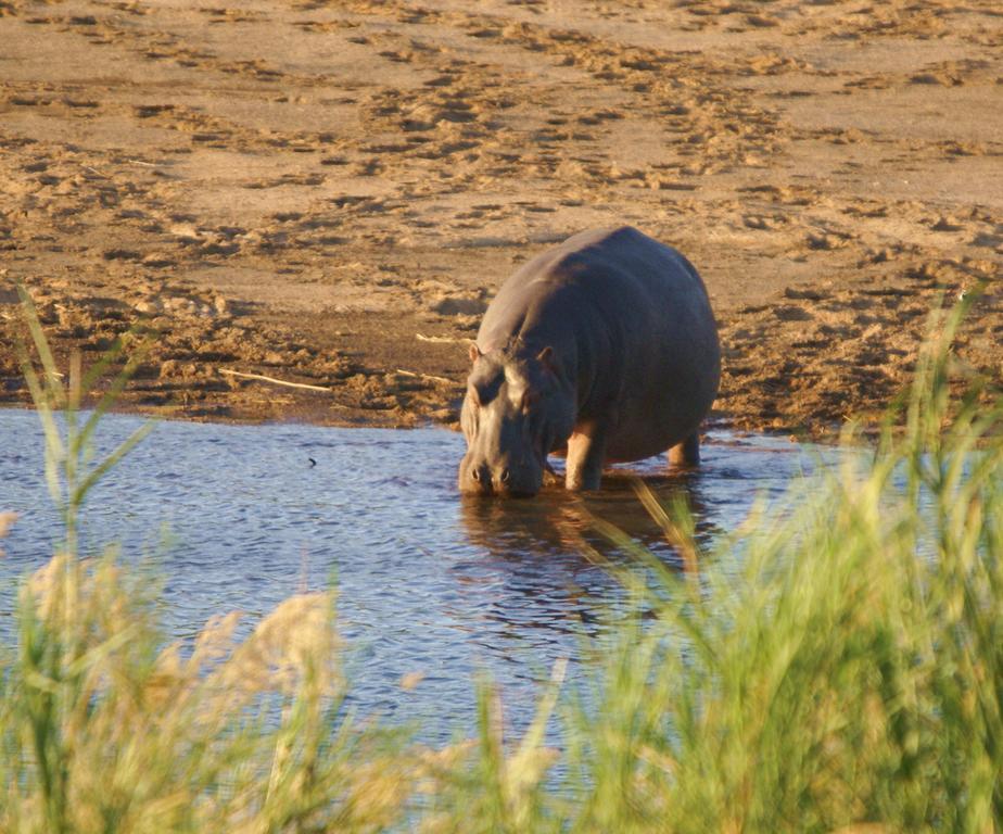 Kruger River Holiday Home Marloth Park Esterno foto