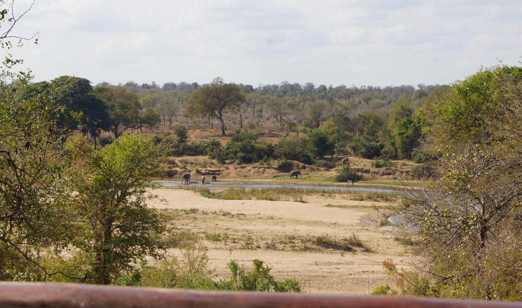 Kruger River Holiday Home Marloth Park Esterno foto