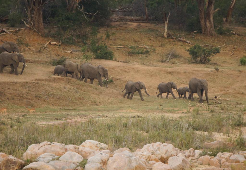 Kruger River Holiday Home Marloth Park Esterno foto